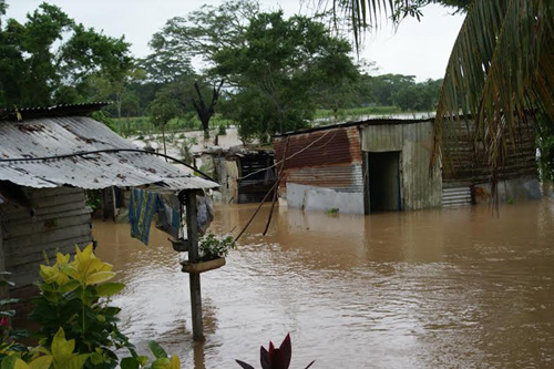 Afectadas 165 Familias Por Inundaciones En Municipio De Falcón