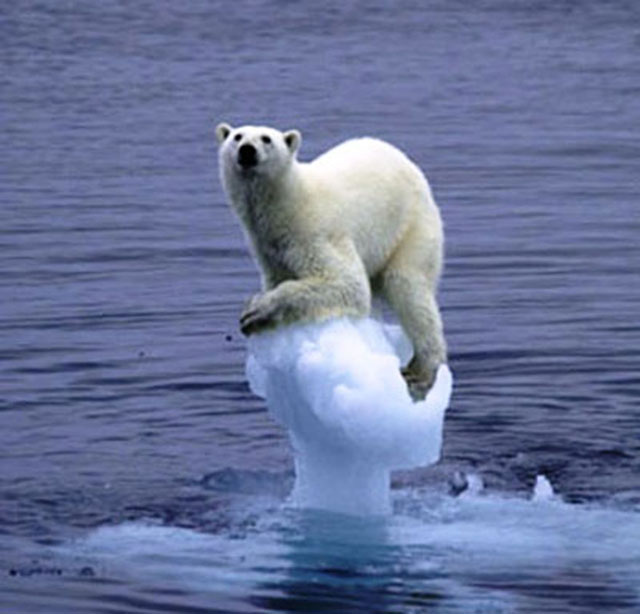 WWF Pide Reforzar Las Acciones Contra El Cambio Climático Hasta 2020