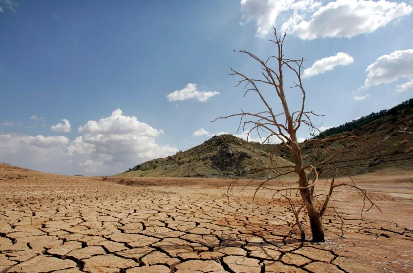 El Desierto Avanza Debido Al Cambio Climático Y A Una Mala Gestión Del Suelo