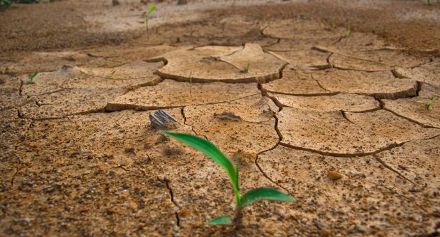 Intensa Sequía Por Cambio Climático Afecta A Venezuela Y Países Del Caribe