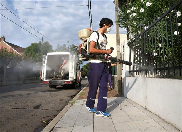 El Cambio Climático Y Los Viajes, Aliados De La Propagación Del Dengue