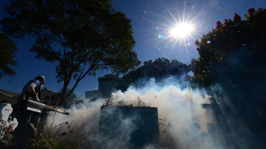 Cambio Climático Agrava Epidemia Del Zika