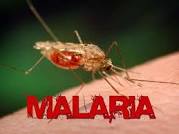 Malaria Y Cambio Climático