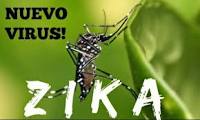 ¿Cuál Es La Relación Del Zika Y Otras Enfermedades Con El Cambio Climático?