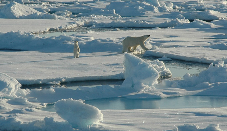 Alarmante Deshielo “histórico” Más Temprano Del Ártico