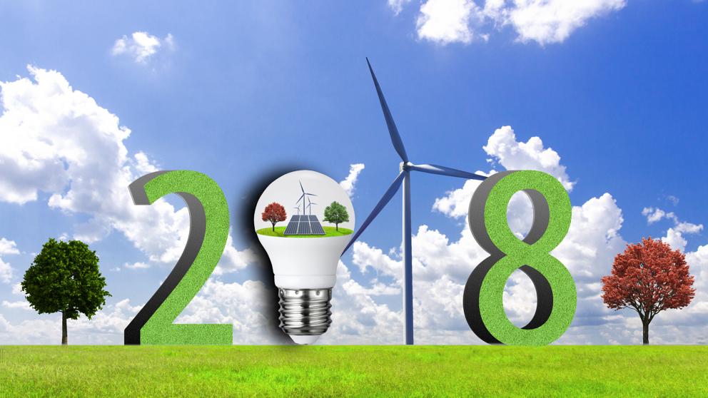12 Eco-consejos Para Un 2018 Más Sostenible